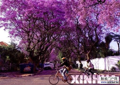 Ϸǳмs(ni)˹-ʺ֮(gu)ʢ_ޱ