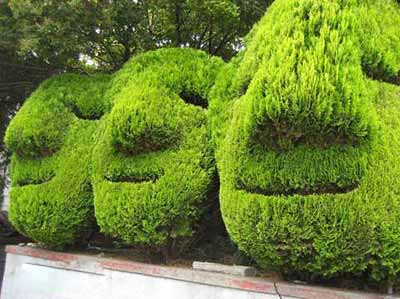 (gu)⯂Ĉ@ˇg(sh)
