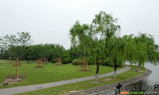     ϺW(xu)Ǉ(gu)ҡ211̡c(din)O(sh)У֮һУ@^(yu)Ϻл@λ 