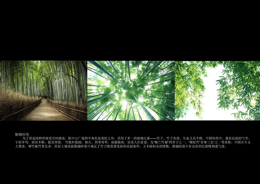 汪杰 瓷源 北京園博會(huì) 設(shè)計(jì)師廣場(chǎng) 競(jìng)賽 獲獎(jiǎng) 中國(guó)風(fēng)景園林網(wǎng)