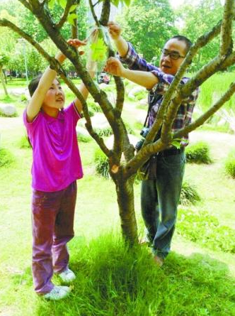 涂先生父女在解放公園里給認(rèn)養(yǎng)的樹木掛牌。