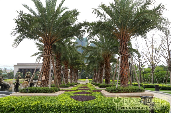 2015園冶杯住宅景觀獎(jiǎng)大獎(jiǎng)：福州﹒陽光凡爾賽宮