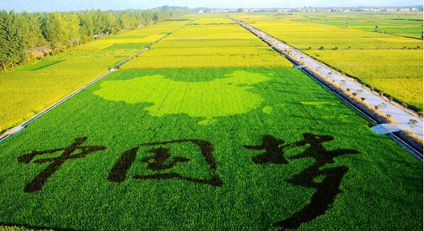 休閑農(nóng)業(yè)景觀設(shè)計之“大地藝術(shù)”