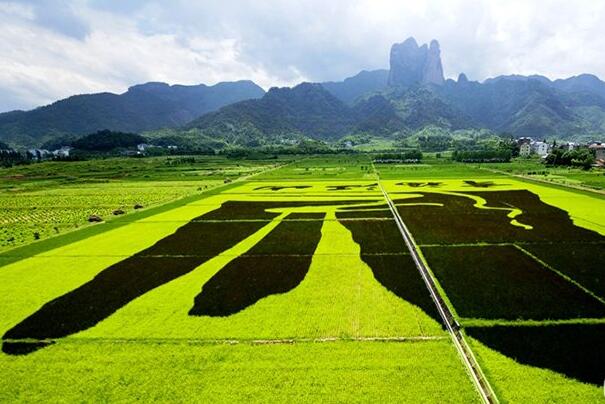 休閑農(nóng)業(yè)景觀設(shè)計之“大地藝術(shù)”