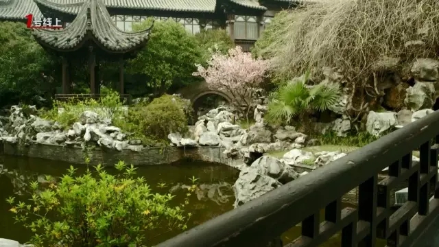 這城市根本就是座大園林！