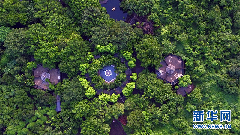 航拍海口石山火山群國家地質(zhì)公園 