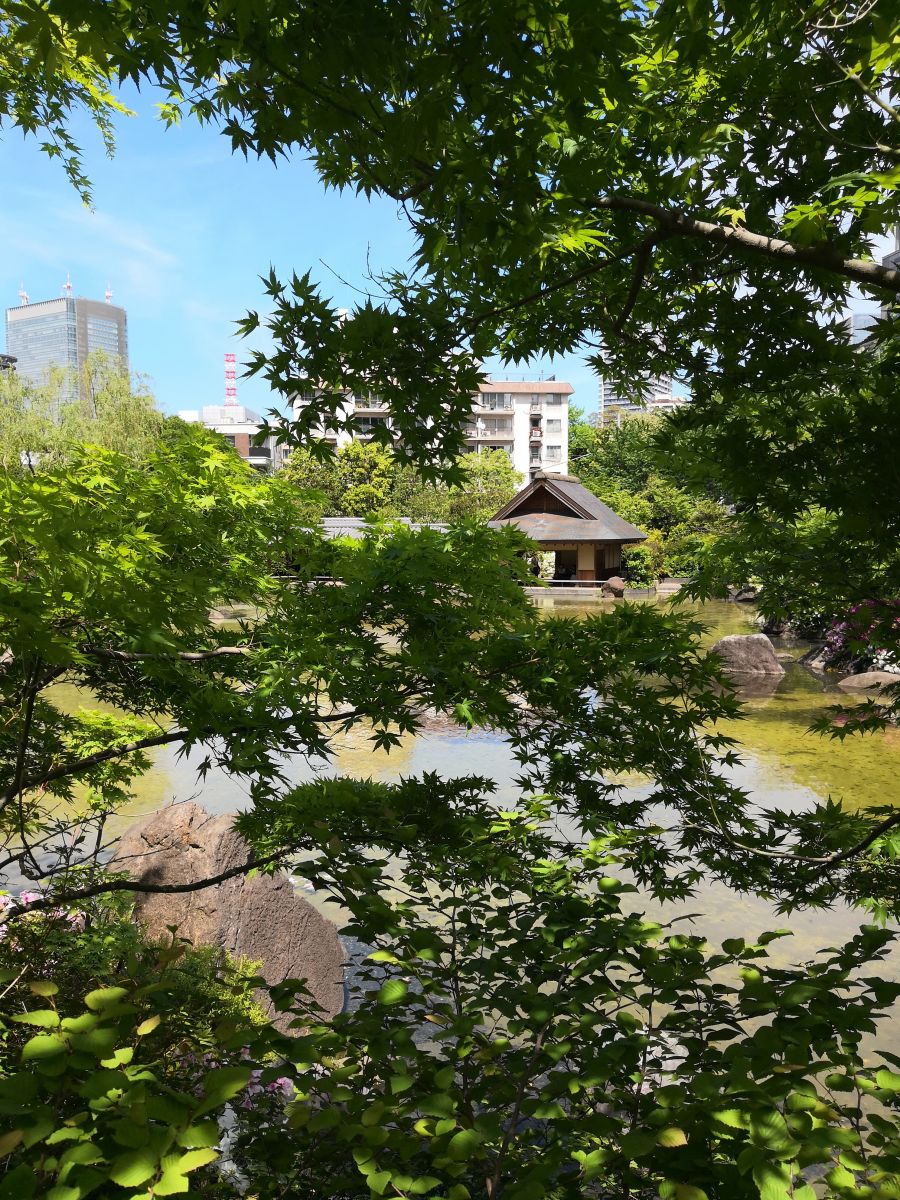 東京知名建筑與景觀參訪 與戶(hù)田芳樹(shù)大師對(duì)話(huà)