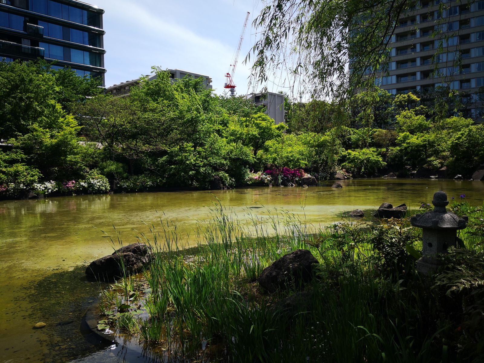 東京知名建筑與景觀參訪 與戶(hù)田芳樹(shù)大師對(duì)話(huà)