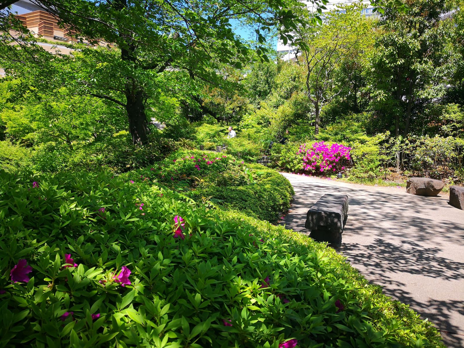 東京知名建筑與景觀參訪 與戶(hù)田芳樹(shù)大師對(duì)話(huà)