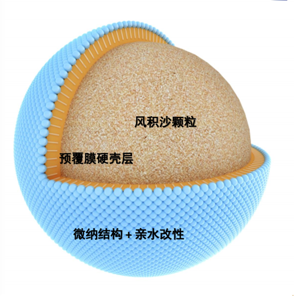 蘇雨明：透水鋪裝在海綿城市的應(yīng)用