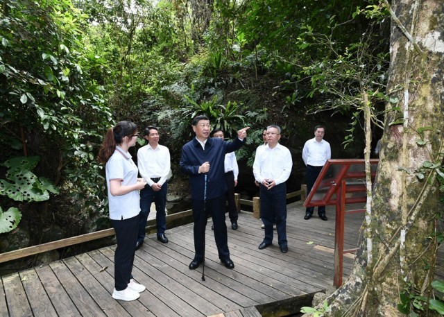習(xí)近平考察海南熱帶雨林國家公園