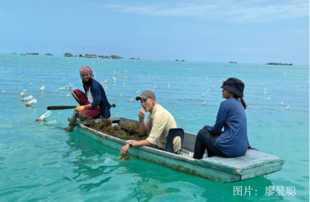 應(yīng)對(duì)海平面上升的循環(huán)經(jīng)濟(jì)戰(zhàn)略