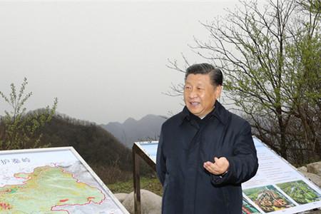 習(xí)近平：要做守護(hù)秦嶺生態(tài)的衛(wèi)士