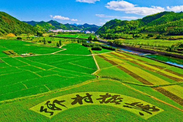 《鄉(xiāng)村振興促進(jìn)法（草案）》公布