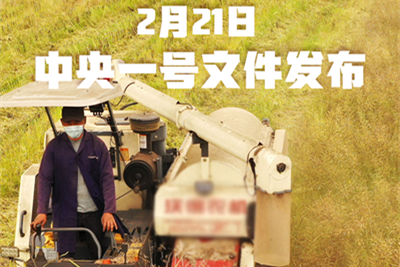 中央一號文件提出全面推進(jìn)鄉(xiāng)村振興