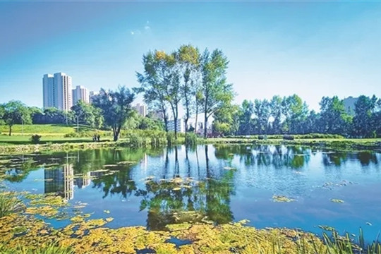 趙兵：結(jié)合市場(chǎng)營(yíng)銷進(jìn)行公園設(shè)計(jì)