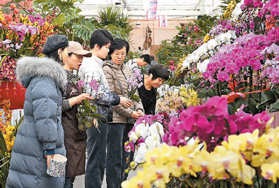 今年年宵花更注重傳統(tǒng)文化與現(xiàn)代元素融合