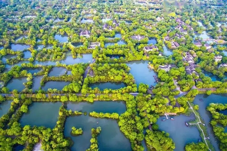 我國(guó)國(guó)家濕地公園20年建設(shè)成果豐碩